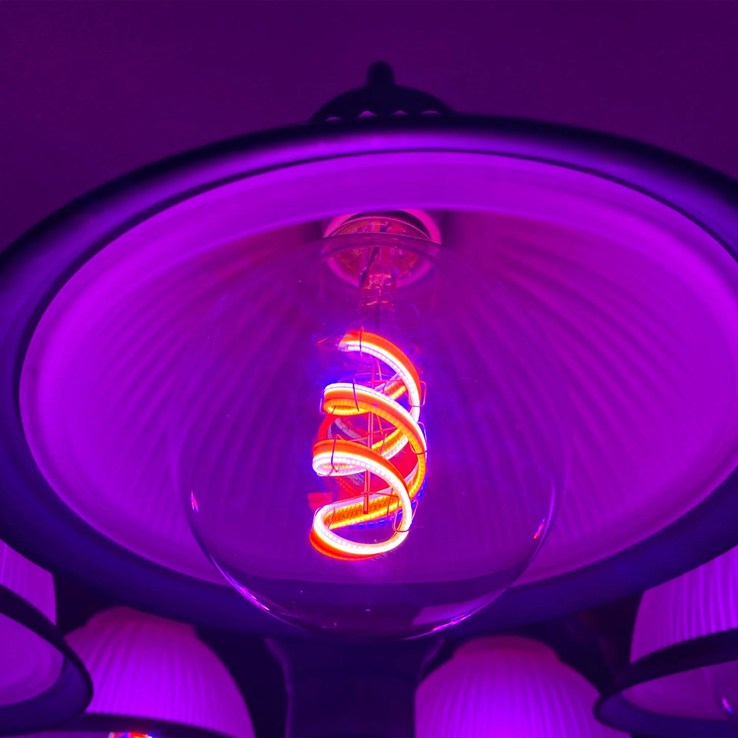 6W (60W Replacement) G30 E26 Dimmable Color Changing Spiral Filament Vintage Decorative Smart Wi-Fi LED Light Bulb